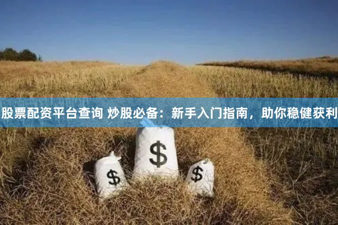 股票配资平台查询 炒股必备：新手入门指南，助你稳健获利