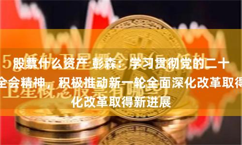 股票什么资产 彭森：学习贯彻党的二十届三中全会精神，积极推动新一轮全面深化改革取得新进展
