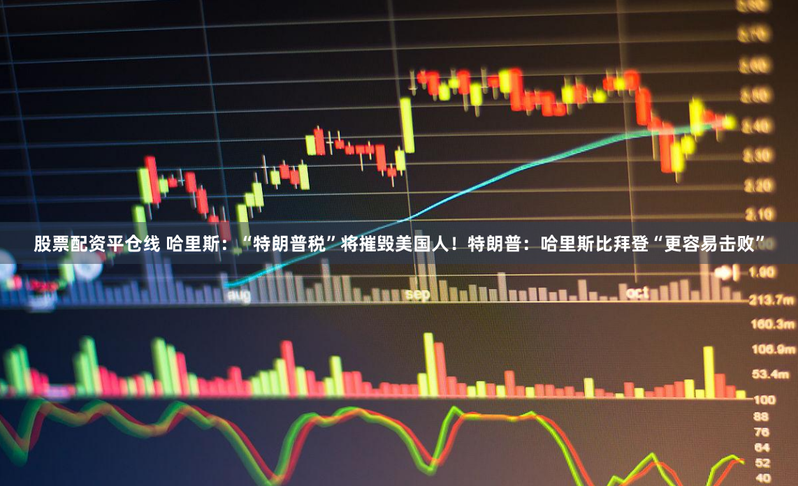股票配资平仓线 哈里斯：“特朗普税”将摧毁美国人！特朗普：哈里斯比拜登“更容易击败”
