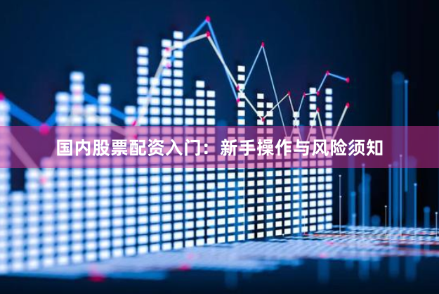 国内股票配资入门：新手操作与风险须知
